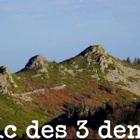 Le Qg Chez Flo Et David