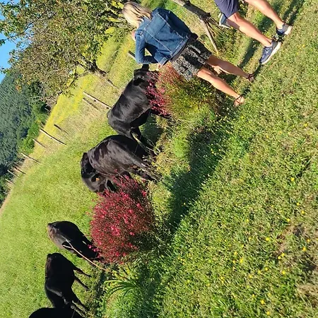 Le Qg Chez Flo Et David Bed & Breakfast