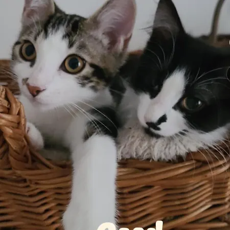 Bed and breakfast Le Qg Chez Flo Et David